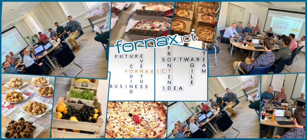 Fornax professional  workshop with the NMHH