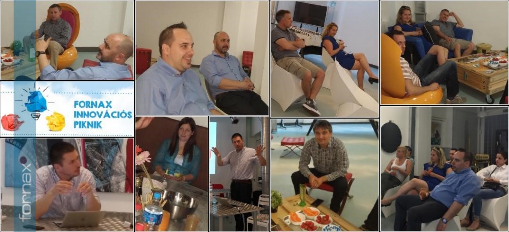 Fornax Innovation Picnic – casual dialogue about our business